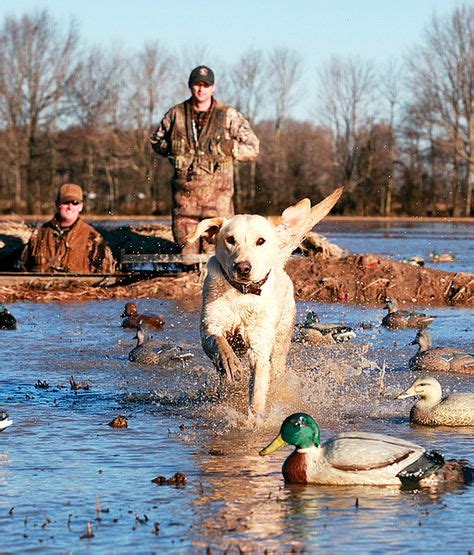 48 duck hunting ideas duck hunting hunting duck