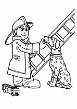 Coloring Pages Firefighter Fireman Dalmatian Hat Coloring4free Fire Fighter Getcolorings Cute Helpers Community Printable Books sketch template
