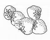 Coloring Pages Fruit Kids Strawberry Fruits Choose Board sketch template