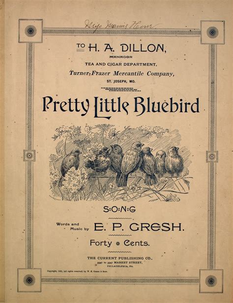143 094 Pretty Little Bluebird Song Levy Music Collection