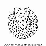 Sleeping Fox Coloring Pages sketch template