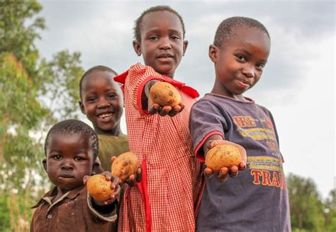 plant disease  caused  irish potato famine  contribute    bottom