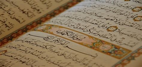 benefits  learning quran    pages   quran basic