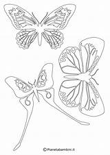 Farfalle Sagome Ritagliare Stampare Pianetabambini Tatuaggio sketch template