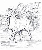 Disegni Cavallo Da Colorare Pages Horses Coloring Horse Disegnare Colouring Animali Coloringpagesforadult Foto Imagixs Adults sketch template