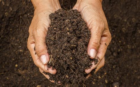 soil    commercial planters terracast products