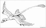 Microraptor Gliding Pages Coloring Qilong Color Dinosaur Dinosaurs Printable Deviantart Print Drawings Favourites Add 2005 Coloringpagesonly sketch template