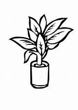 Plante Plant Coloriage Coloring Imprimer Dessin Zombie Plantes Colorier Dessiner Dessins Vs 800px 25kb sketch template