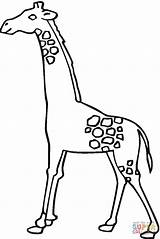 Jirafa Caminando Giraffe sketch template