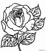 Coloring Rose Pages Printable Kids Color Bush Roses Cool2bkids Skull Print Getcolorings Getdrawings sketch template