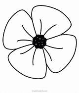 Colouring Remembrance Poppies Anzac Gradeonederful sketch template