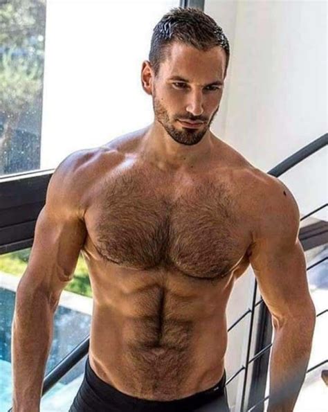 hairy hunks hairy men hot guys muscle guys bear men hommes sexy