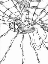 Spiderman Vulture sketch template