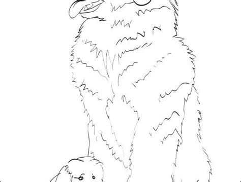 newfoundland coloring pages  getdrawings