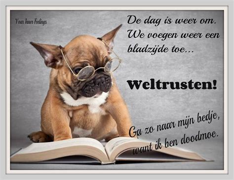weltrusten dog books funny dogs dog pictures