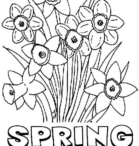 spring flower coloring pages    print   coloring