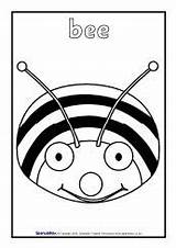 Bee Colouring sketch template