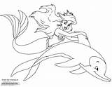 Ariel Ausmalbilder Arielle Meerjungfrau Colorare Delfini Disneyclips Sirenetta Amordepapeis Flounder Pintar Schonsten sketch template
