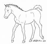 Foal Lineart Deviantart Line Horse Coloring Drawing Drawings Pages Colouring Choose Board sketch template