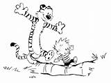 Calvin Hobbes Coloring Tiger Pages Printable Stencils Comics Sheet Wallpaper Sketch Clipart Cute Sheets Desktop Colouring Color Characters Line Background sketch template