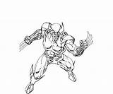 Wolverine Coloring sketch template