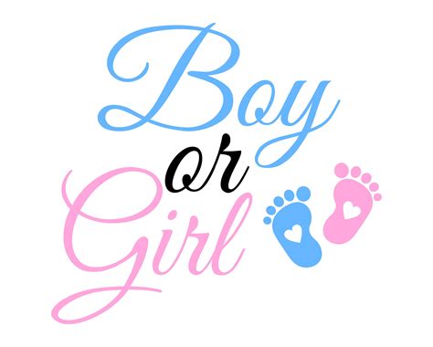 boy  girl svg gender reveal png girl  boy clipart baby reveal svg