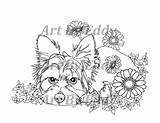 Pages Coloring Yorkie Teacup Template sketch template