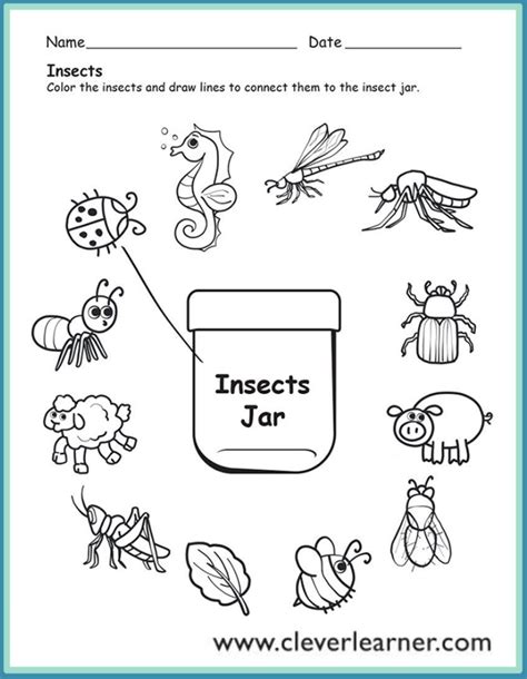 printable kindergarten science worksheets kindergarten worksheets