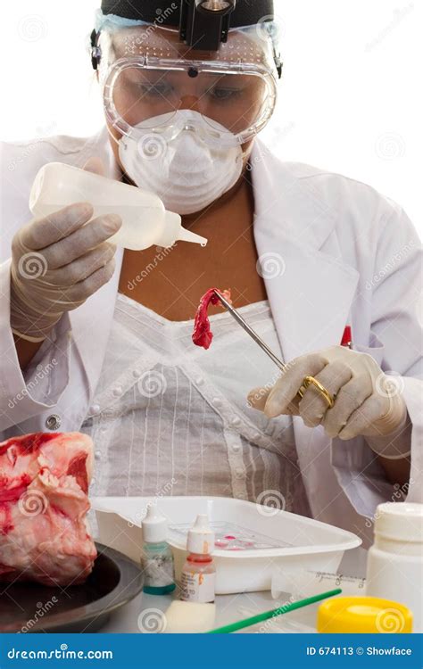 food science stock image image  science professional