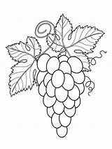 Coloring Pages Grape Grapes Fruits Recommended Color sketch template