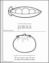Tracing Mamaslearningcorner Vegetables sketch template