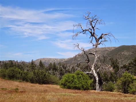nature cries aloud cuyamaca rancho state park