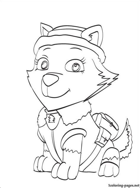 paw patrol colouring pages
