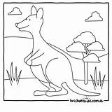 Colouring Australian Animals Pages Australia Kids Kangaroo Platypus sketch template