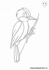 Picchio Uccelli Bosco Animali Disegno Portalebambini sketch template