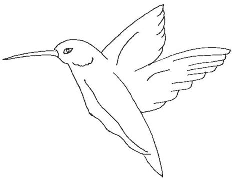 flying bird colouring pictures coloring pictures bird coloring pages
