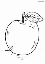 Obst Malvorlage Malvorlagen Apfel Früchte sketch template