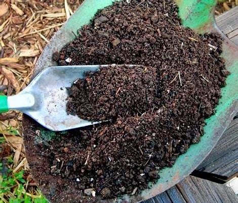 peranan bahan organik  tanah budidayaku