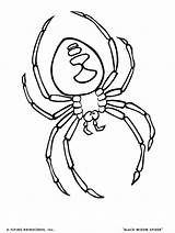 Coloring Tick Pages Bug Template Spider sketch template