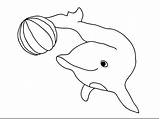 Dolphin Coloring Pages Color Dolphins Drawing Template Print Cute Book Colour Printable Animals Sheets Delfin Water Cartoon Craft Kids Di sketch template