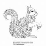 Coloring Pages Forest Colouring Enchanted Adults Printable Squirrel Book Adult Designs Grown Fabriano Boutique Sheets Detailed Playroom Intheplayroom Competition Everythingetsy sketch template