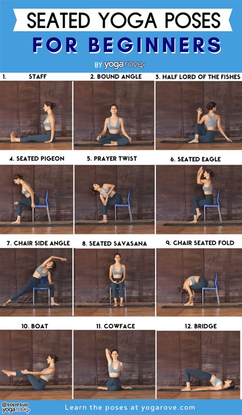 seated yoga poses for beginners