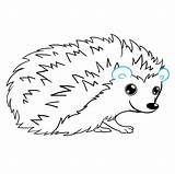 Hedgehog Draw Drawing Easy Cute Drawings Step Easydrawingguides Animals Line Kids Lines Tutorial sketch template