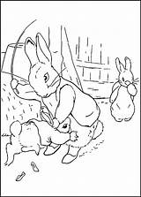 Rabbit Peter Coloring Pages Movie Trailers Site Coloring2print sketch template