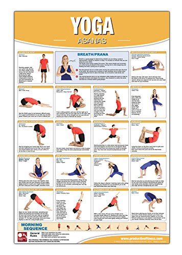 yoga asana posterchart laminated yoga poster yoga chart asana