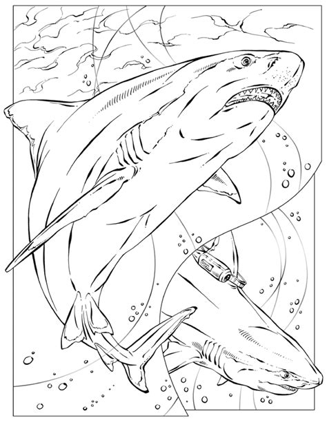 animal coloring pages national geographic unique animal coloring