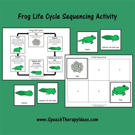 frog life cycle sequencing activity speech therapy ideas sequencing