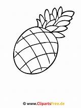 Ananas Ausmalbilder Ausmalbild Obst Malvorlagen Malvorlage Ausdrucken Fruits Herbst Titel Malvorlagenkostenlos sketch template
