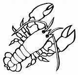 Lobster Crustaceans Marine sketch template