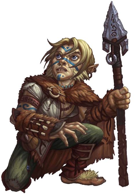 halfling druid character portraits dungeons  dragons characters fantasy dwarf